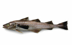 让厨房更省心,美国阿拉斯加海产解锁夏日好滋味