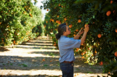 春日饮食哲学,美国新奇士脐橙懂你的春天